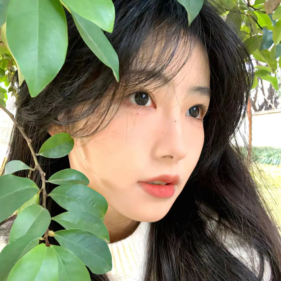 老处女日记